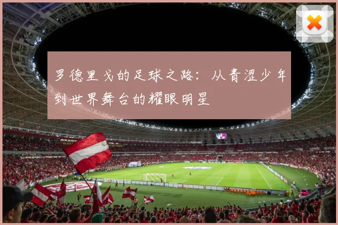 罗德里戈的足球之路：从青涩少年到世界舞台的耀眼明星