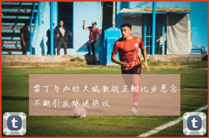 雷丁与加的夫城激战正酣比分悬念不断引发球迷热议