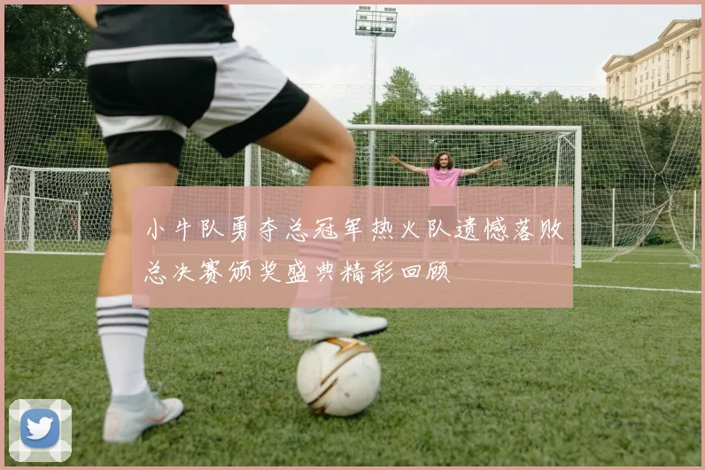 小牛队勇夺总冠军热火队遗憾落败总决赛颁奖盛典精彩回顾