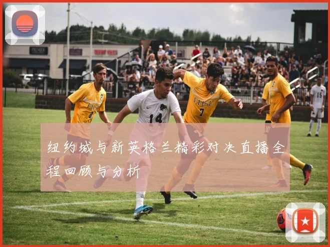 纽约城与新英格兰精彩对决直播全程回顾与分析