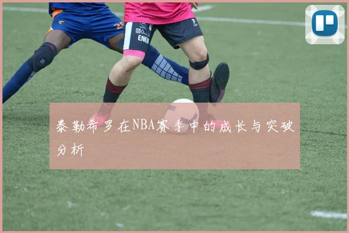 泰勒希罗在NBA赛季中的成长与突破分析